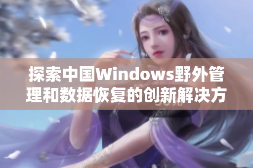 探索中国Windows野外管理和数据恢复的创新解决方案