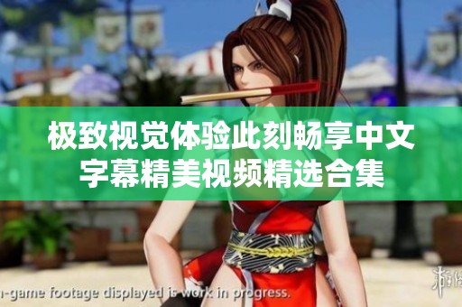 极致视觉体验此刻畅享中文字幕精美视频精选合集