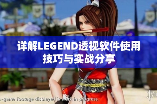 详解LEGEND透视软件使用技巧与实战分享