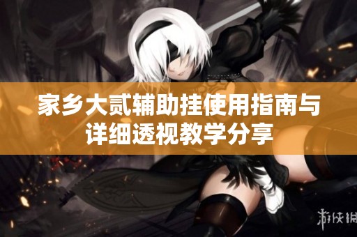 家乡大贰辅助挂使用指南与详细透视教学分享