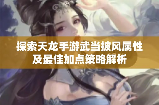 探索天龙手游武当披风属性及最佳加点策略解析