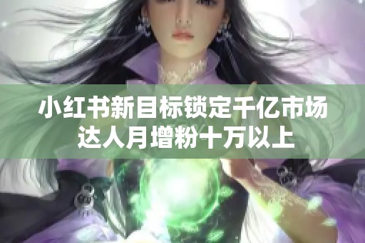 小红书新目标锁定千亿市场 达人月增粉十万以上