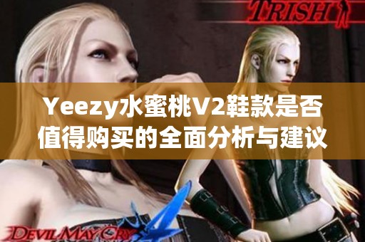 Yeezy水蜜桃V2鞋款是否值得购买的全面分析与建议