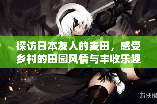 探访日本友人的麦田，感受乡村的田园风情与丰收乐趣