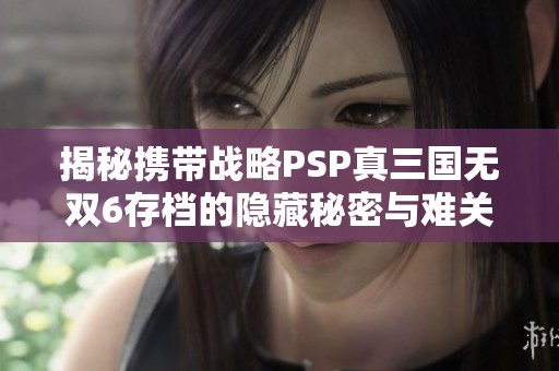 揭秘携带战略PSP真三国无双6存档的隐藏秘密与难关挑战