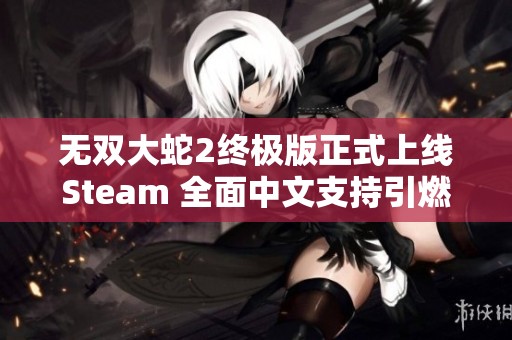 无双大蛇2终极版正式上线Steam 全面中文支持引燃玩家热情