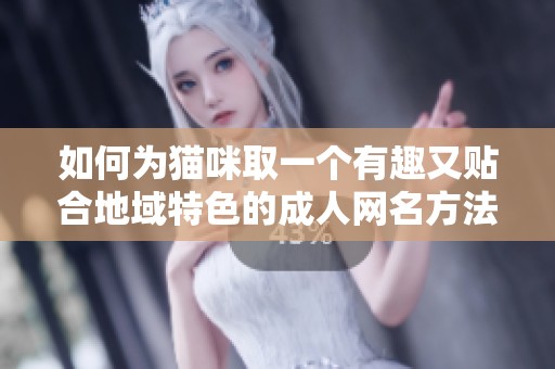 如何为猫咪取一个有趣又贴合地域特色的成人网名方法分享