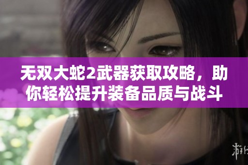 无双大蛇2武器获取攻略，助你轻松提升装备品质与战斗力