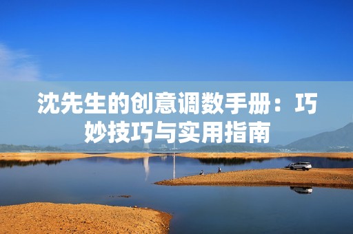 沈先生的创意调数手册：巧妙技巧与实用指南