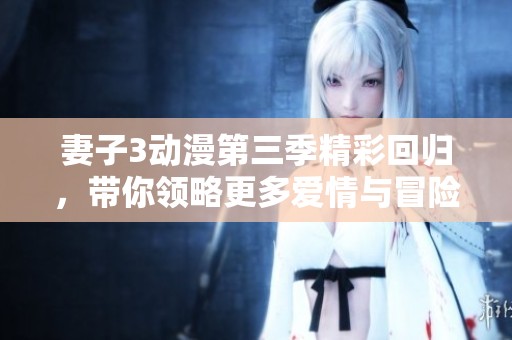 妻子3动漫第三季精彩回归，带你领略更多爱情与冒险的故事