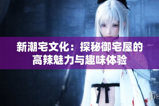 新潮宅文化：探秘御宅屋的高辣魅力与趣味体验
