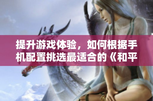 提升游戏体验，如何根据手机配置挑选最适合的《和平精英》设置方法