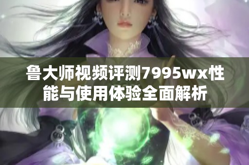 鲁大师视频评测7995wx性能与使用体验全面解析