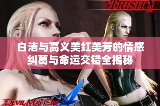 白洁与高义美红美芳的情感纠葛与命运交错全揭秘