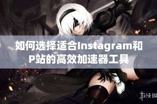 如何选择适合Instagram和P站的高效加速器工具