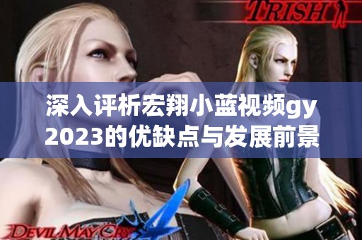 深入评析宏翔小蓝视频gy2023的优缺点与发展前景