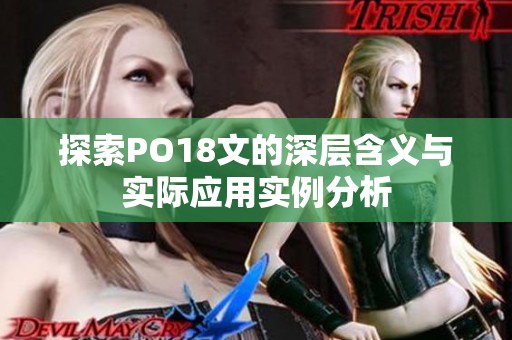 探索PO18文的深层含义与实际应用实例分析