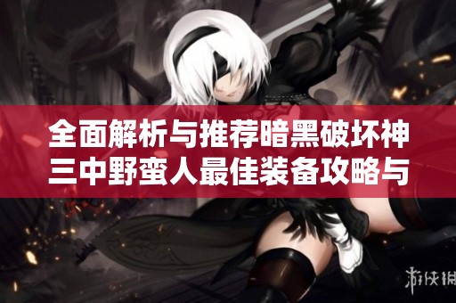 全面解析与推荐暗黑破坏神三中野蛮人最佳装备攻略与搭配技巧