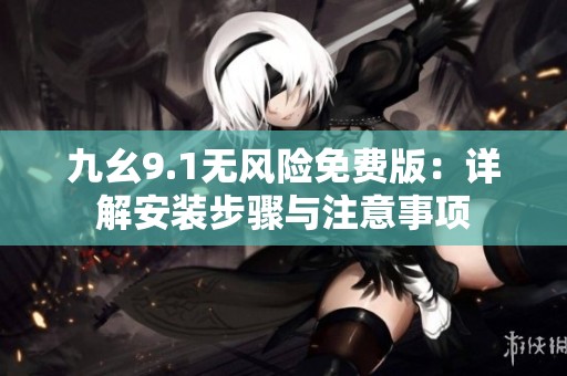 九幺9.1无风险免费版：详解安装步骤与注意事项