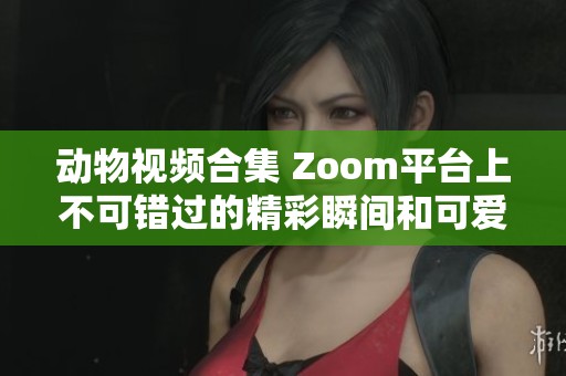 动物视频合集 Zoom平台上不可错过的精彩瞬间和可爱表现