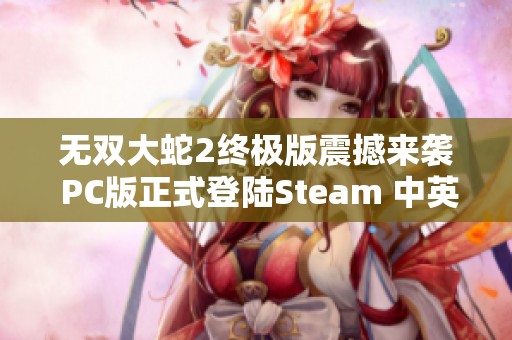 无双大蛇2终极版震撼来袭 PC版正式登陆Steam 中英文双语支持助燃玩家激情