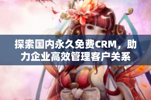 探索国内永久免费CRM，助力企业高效管理客户关系