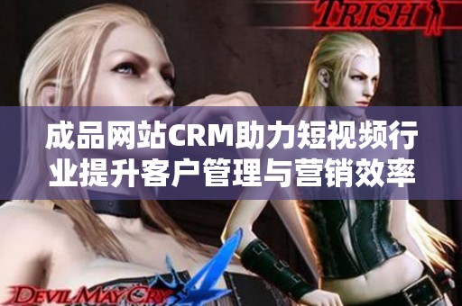 成品网站CRM助力短视频行业提升客户管理与营销效率