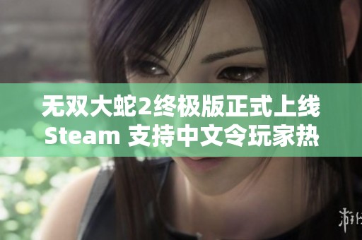 无双大蛇2终极版正式上线Steam 支持中文令玩家热泪盈眶的震撼时刻到来