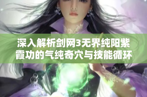 深入解析剑网3无界纯阳紫霞功的气纯奇穴与技能循环技巧与应用