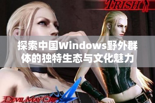 探索中国Windows野外群体的独特生态与文化魅力