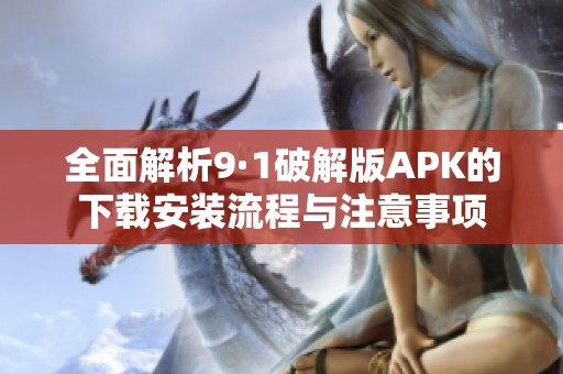 全面解析9·1破解版APK的下载安装流程与注意事项