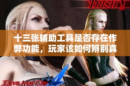 十三张辅助工具是否存在作弊功能，玩家该如何辨别真伪