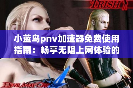 小蓝鸟pnv加速器免费使用指南：畅享无阻上网体验的终极武器