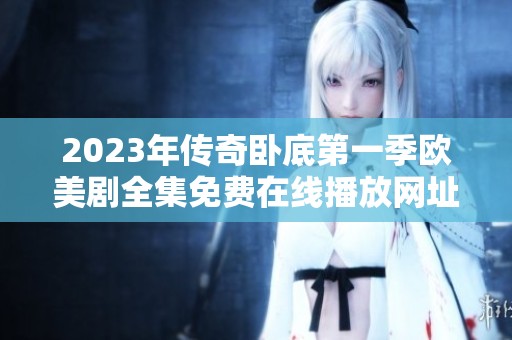 2023年传奇卧底第一季欧美剧全集免费在线播放网址分享
