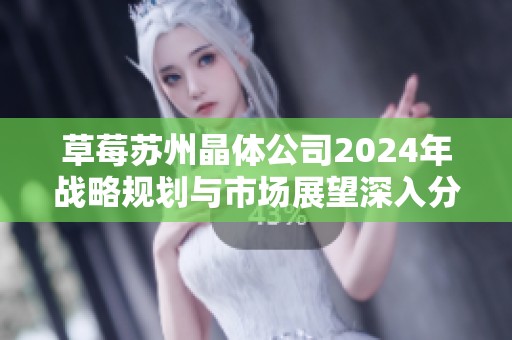 草莓苏州晶体公司2024年战略规划与市场展望深入分析