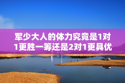 军少大人的体力究竟是1对1更胜一筹还是2对1更具优势