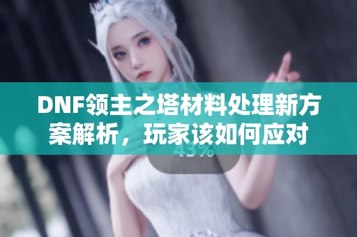 DNF领主之塔材料处理新方案解析，玩家该如何应对