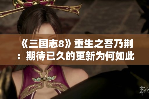 《三国志8》重生之吾乃荆：期待已久的更新为何如此缓慢你知道吗