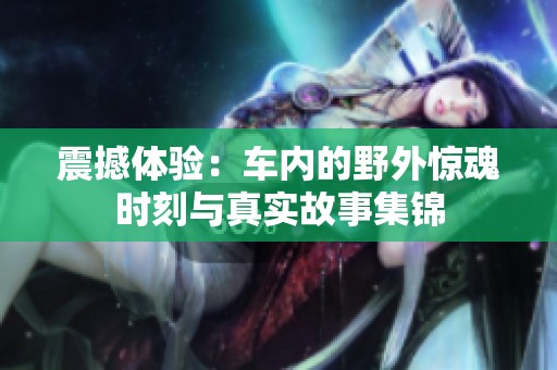 震撼体验：车内的野外惊魂时刻与真实故事集锦
