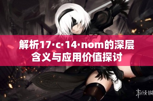 解析17·c·14·nom的深层含义与应用价值探讨