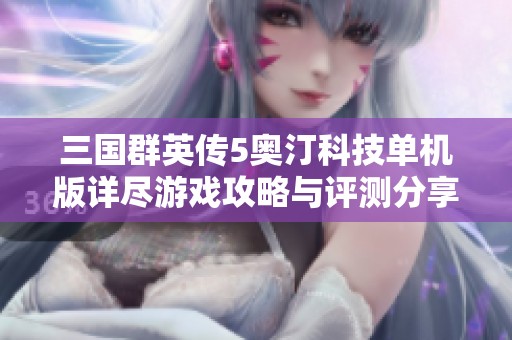 三国群英传5奥汀科技单机版详尽游戏攻略与评测分享