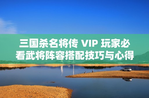 三国杀名将传 VIP 玩家必看武将阵容搭配技巧与心得分享