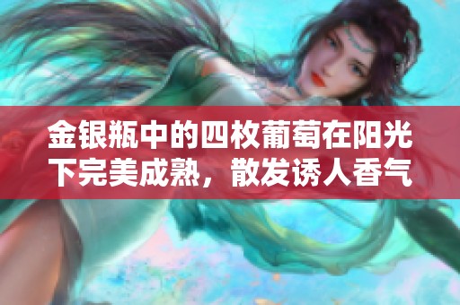 金银瓶中的四枚葡萄在阳光下完美成熟，散发诱人香气