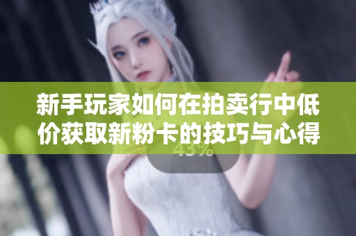 新手玩家如何在拍卖行中低价获取新粉卡的技巧与心得分享