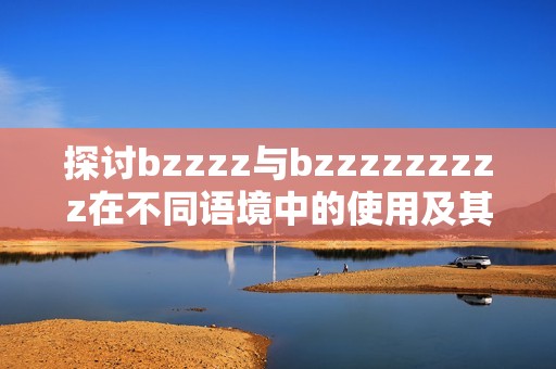 探讨bzzzz与bzzzzzzzzz在不同语境中的使用及其含义差异