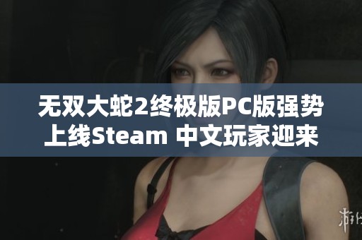 无双大蛇2终极版PC版强势上线Steam 中文玩家迎来狂潮