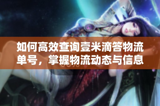 如何高效查询壹米滴答物流单号，掌握物流动态与信息