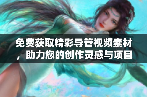 免费获取精彩导管视频素材，助力您的创作灵感与项目需求